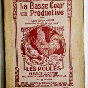 poule BASSE-COUR PRODUCTIVE. LES POULES ELEVAGE LUCRATIF.