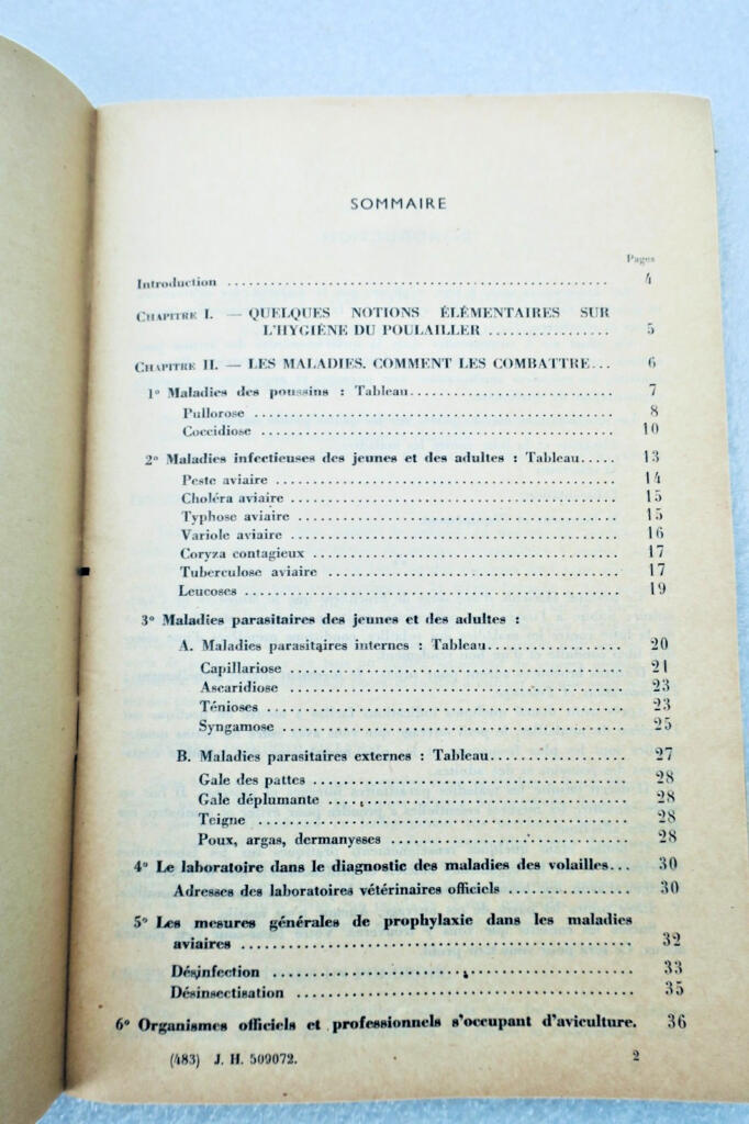 Poule L’aviculture source méconnue de grande richesse + guide pratique..fermière