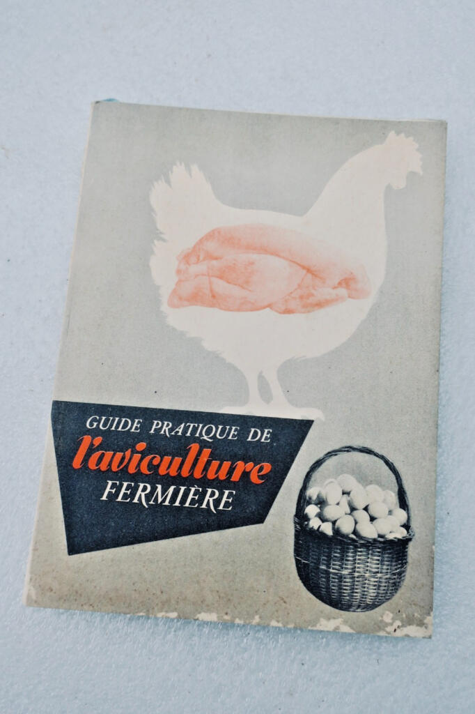 Poule L’aviculture source méconnue de grande richesse + guide pratique..fermière