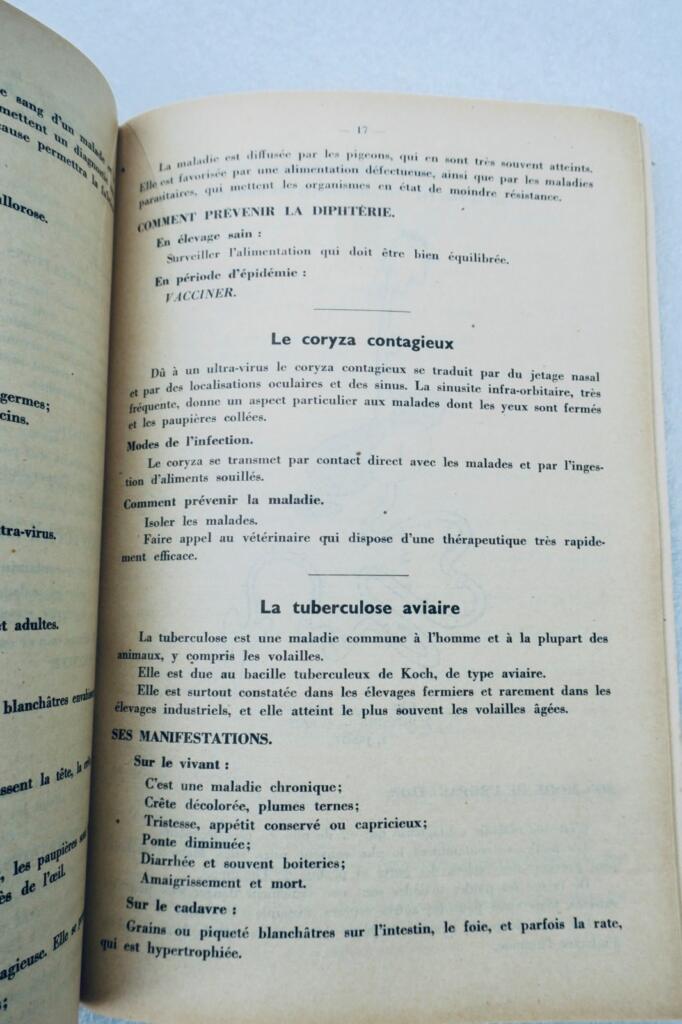 Poule L’aviculture source méconnue de grande richesse + guide pratique..fermière