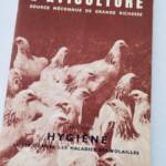 Geflügelzucht-Ratgeber: Hygiene und Krankheitsprävention