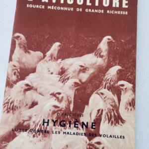 Poule L'aviculture source méconnue de grande richesse + guide pratique..fermière