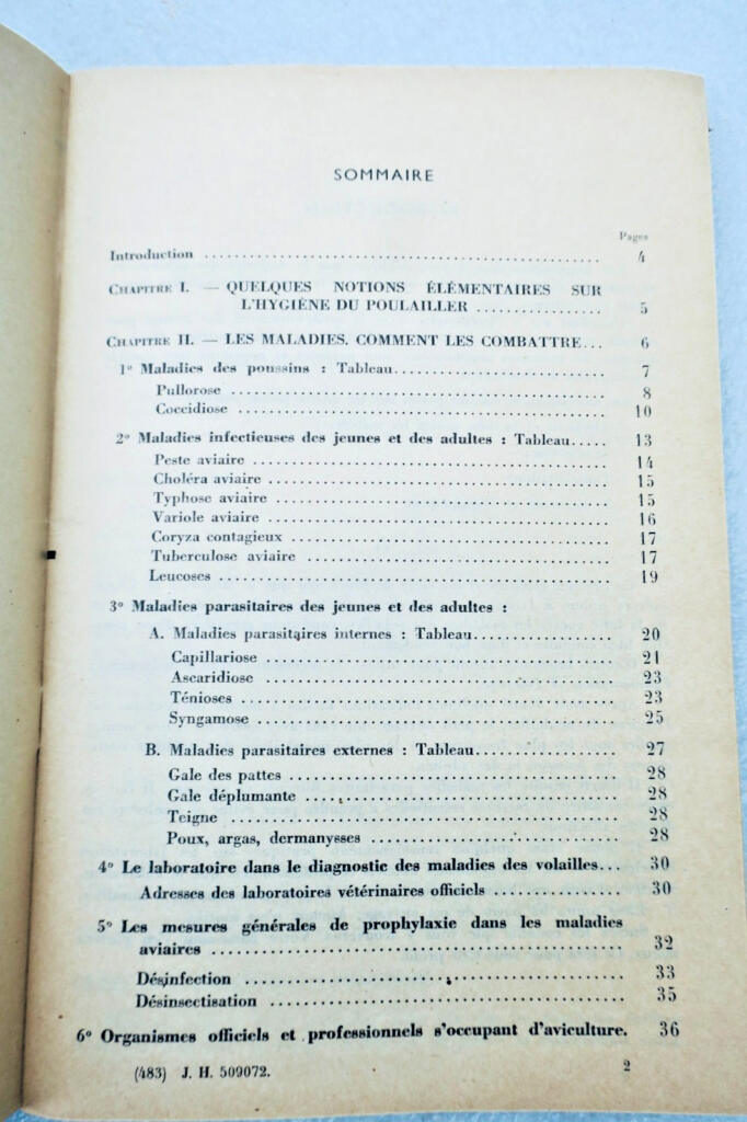 Poule L’aviculture source méconnue de grande richesse + guide pratique..fermière
