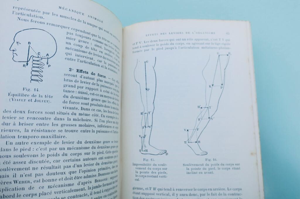 Précis de physique biologique 1903