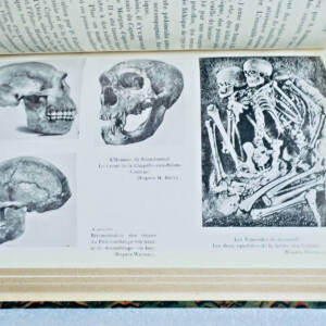 Préhistoire FURON RAYMOND MANUEL DE PREHISTOIRE GENERALE, EUROPE, ASIE, AFRIQUE.