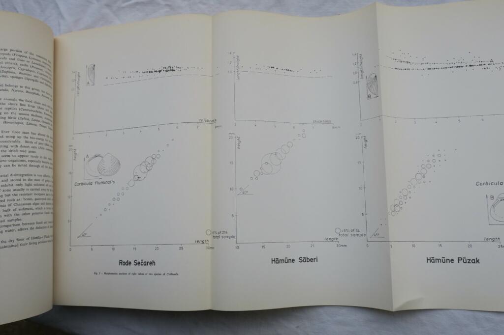 Shahr-e Sukhteh: Irans prähistorisches Juwel