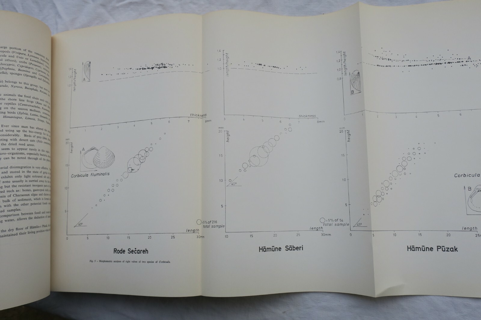 PREHISTORIC SISTAN - Maurizio Tosi - Oriente - Ismeo 1983 – Image 7