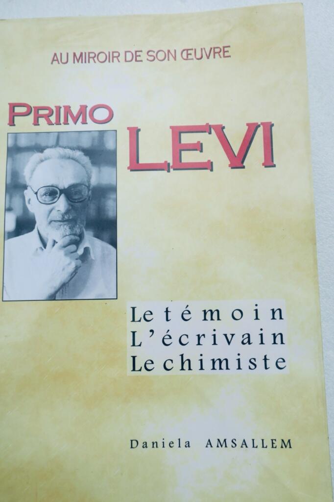 Primo Lévi, au miroir de son œuvre: Le témoin, l&rsquo;écrivain, le chimiste