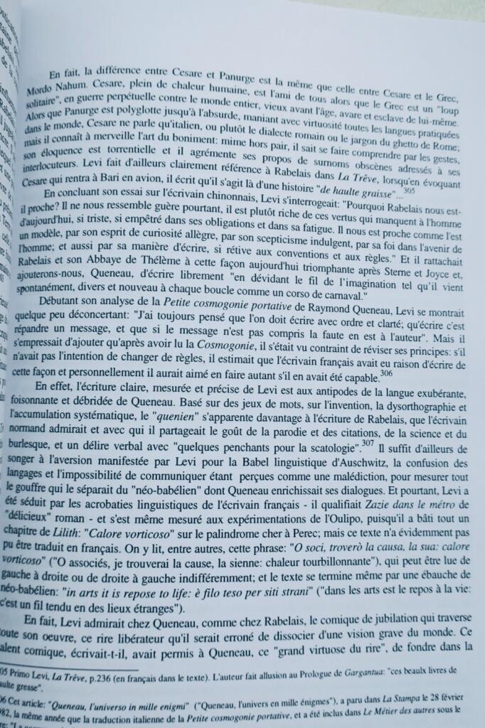 Primo Lévi, au miroir de son œuvre: Le témoin, l&rsquo;écrivain, le chimiste