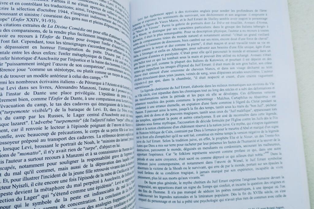 Primo Lévi, au miroir de son œuvre: Le témoin, l&rsquo;écrivain, le chimiste