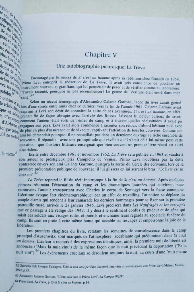 Primo Lévi, au miroir de son œuvre: Le témoin, l&rsquo;écrivain, le chimiste