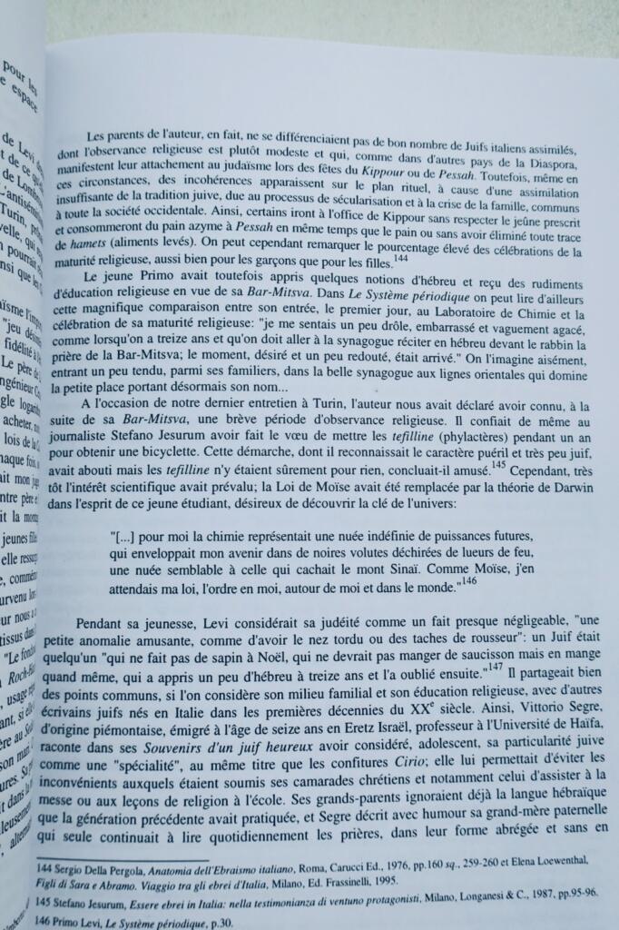 Primo Lévi, au miroir de son œuvre: Le témoin, l&rsquo;écrivain, le chimiste