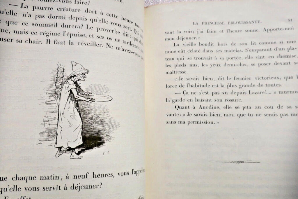 The Dazzling Princess - Illustrated Edition