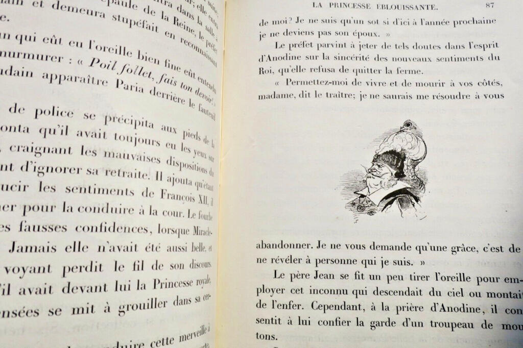 The Dazzling Princess - Illustrated Edition