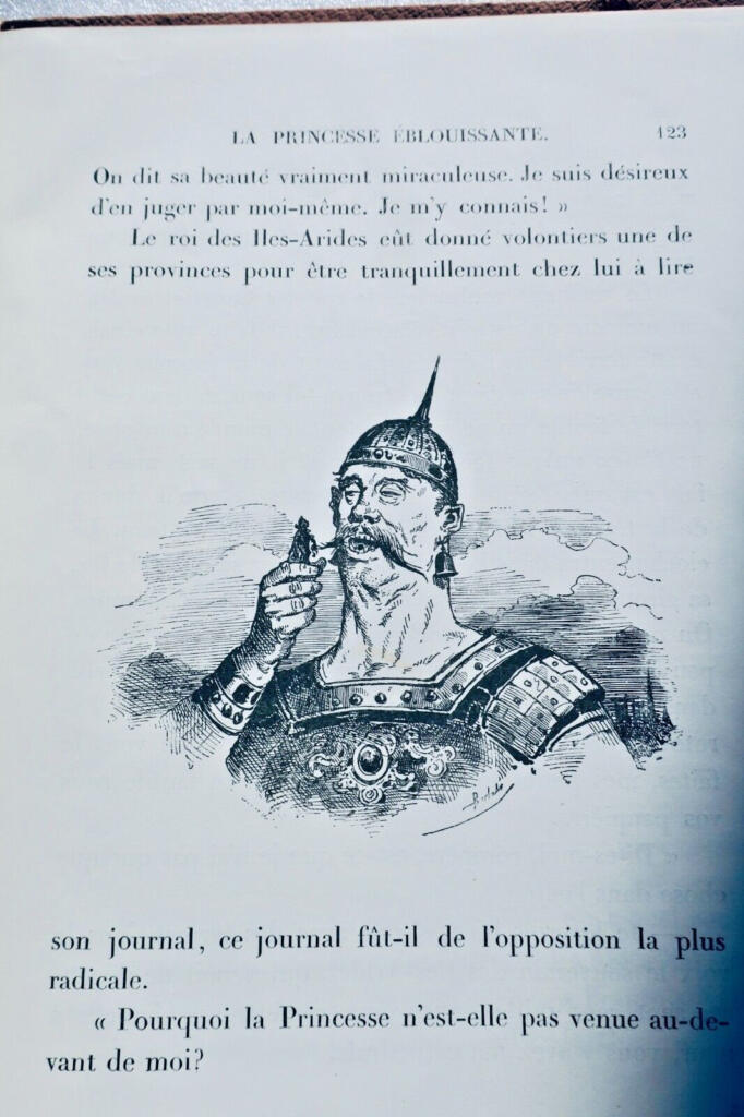 The Dazzling Princess - Illustrated Edition