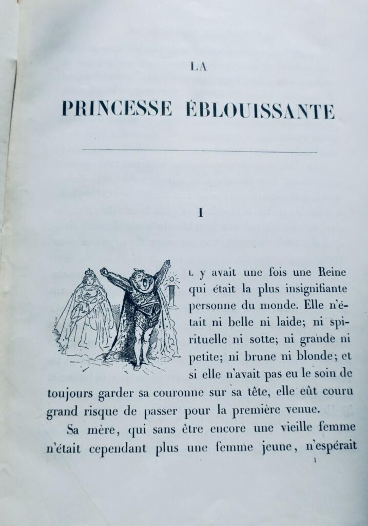 The Dazzling Princess - Illustrated Edition