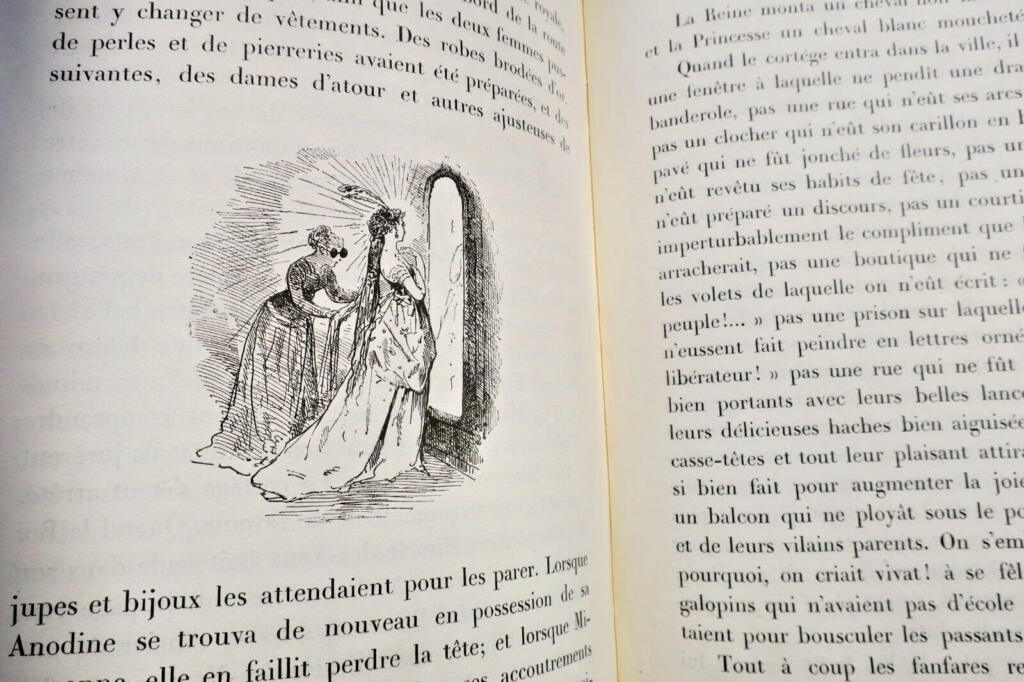 The Dazzling Princess - Illustrated Edition