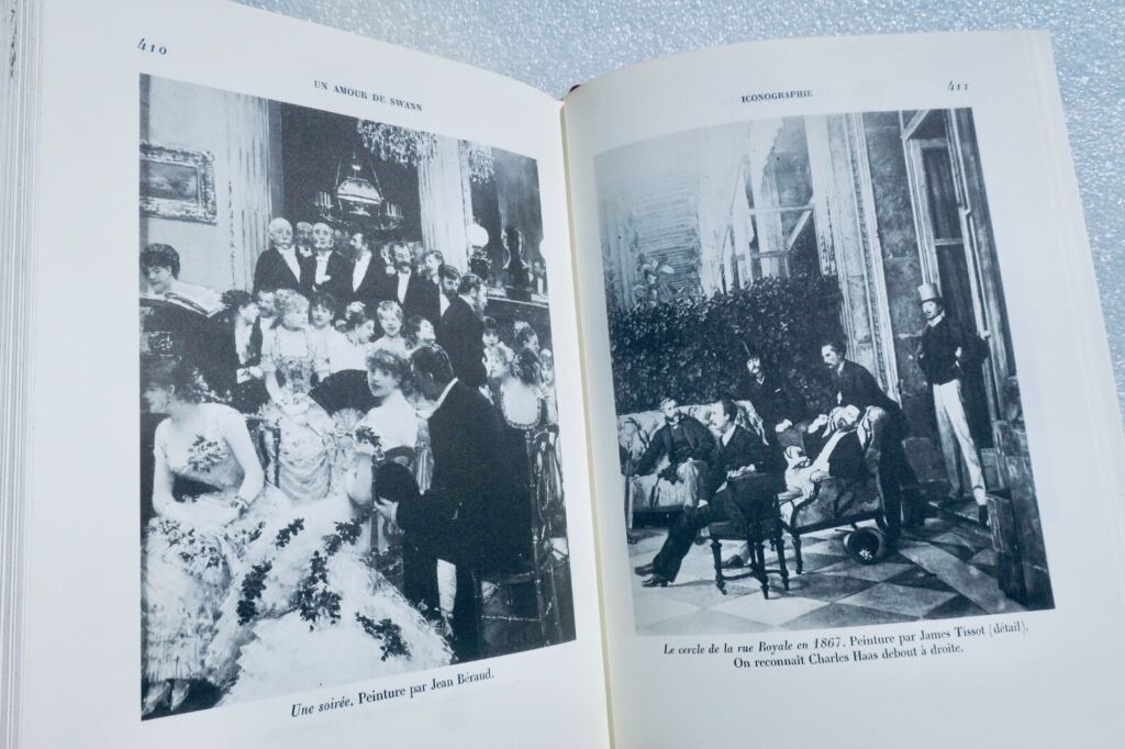 Swann’s Love in Fine Leather Binding