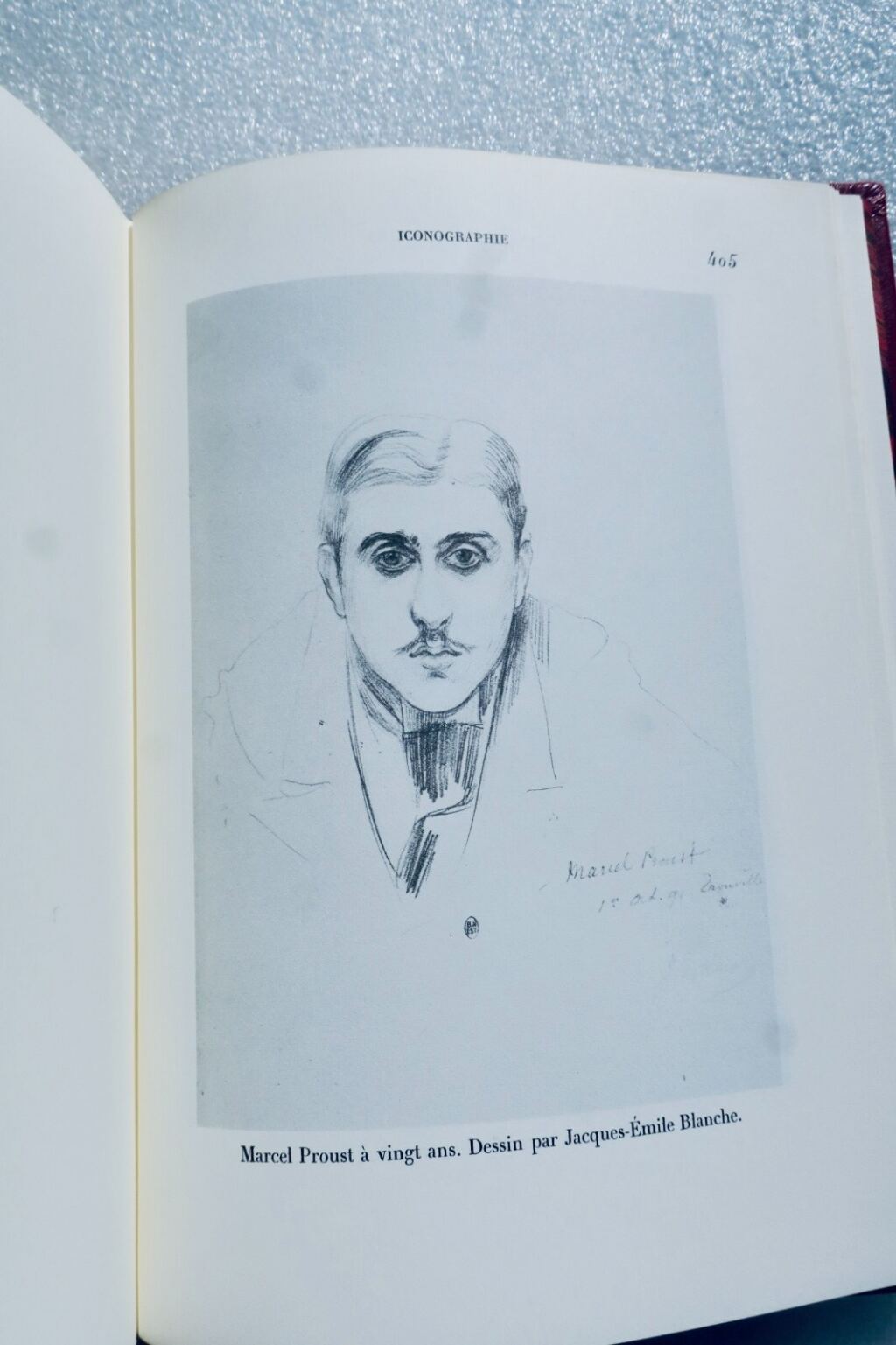 Swann’s Love in Fine Leather Binding