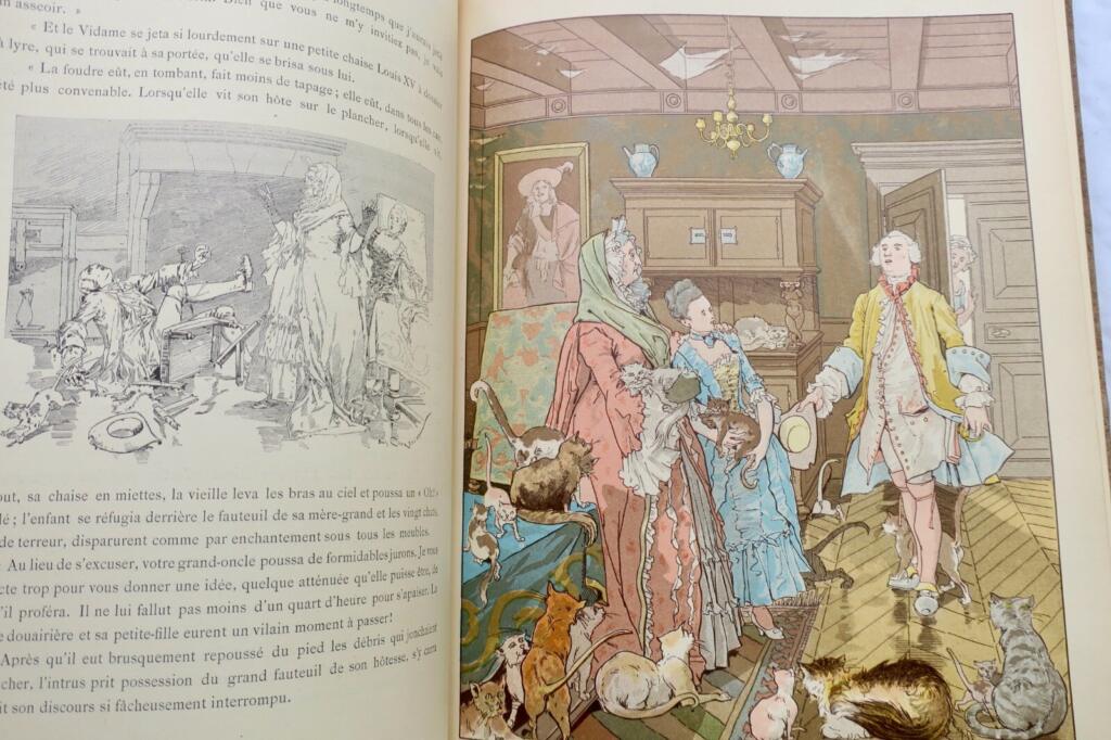 Die Dame von Gai-Fredon - Illustrierte Ausgabe