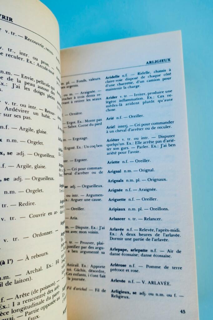 Québécois Dictionary by Léandre Bergeron