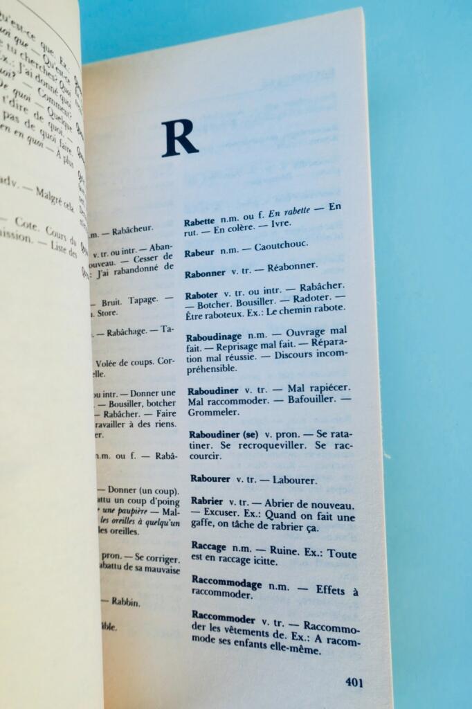 Québécois Dictionary by Léandre Bergeron