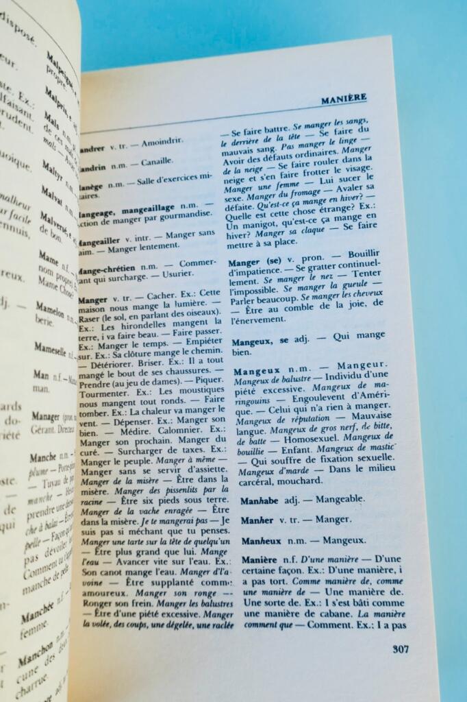 Québécois Dictionary by Léandre Bergeron