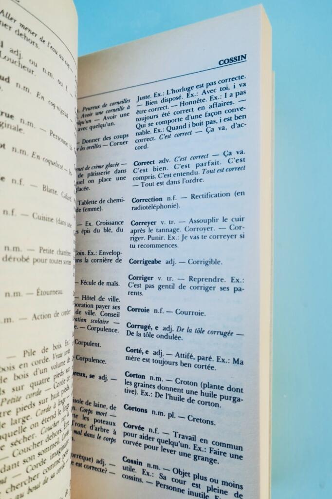 Québécois Dictionary by Léandre Bergeron