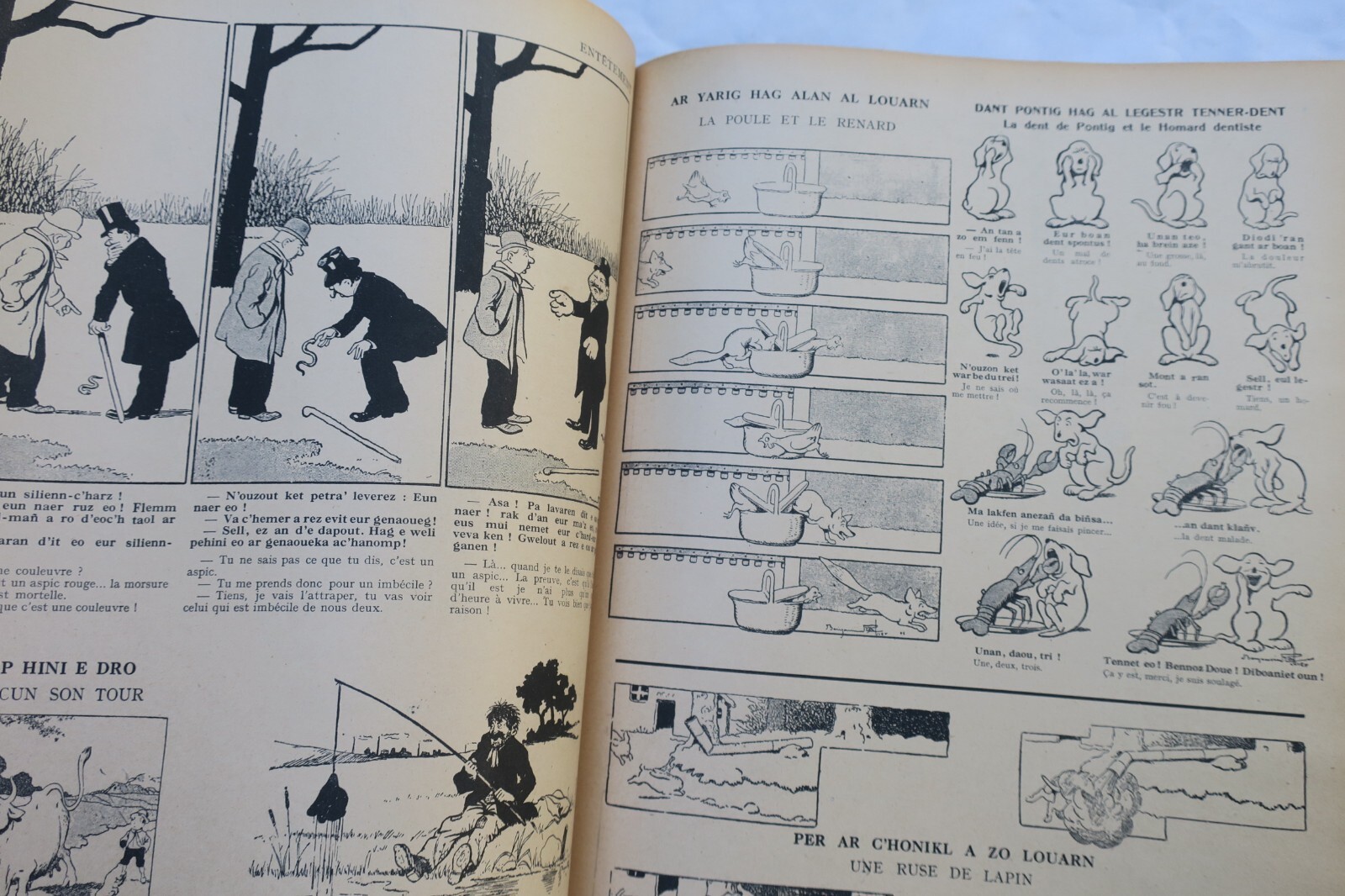 Als die Tiere noch Bretonisch sprachen - Image 10