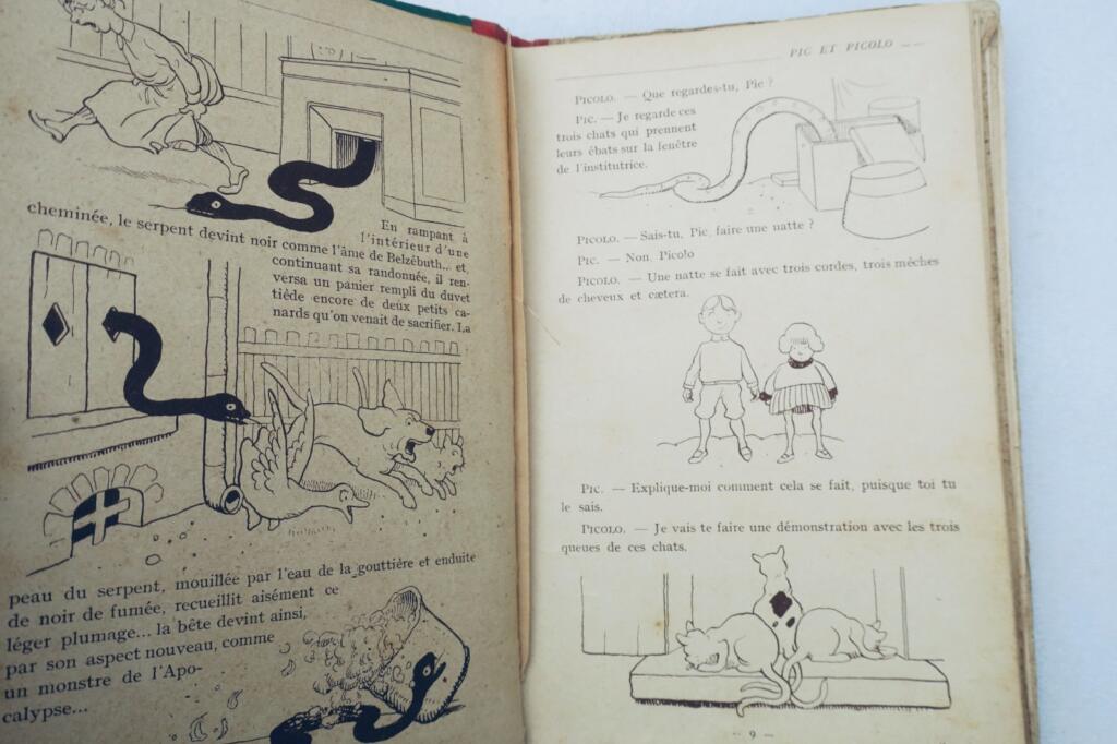ピクとピコロ - 挿絵入り児童冒険物語