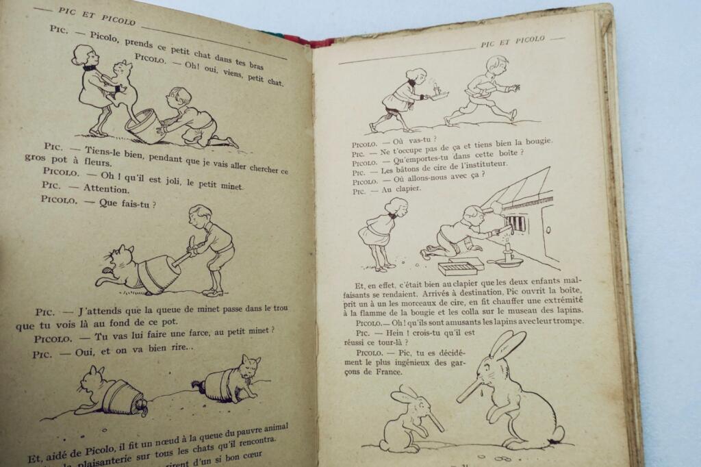 ピクとピコロ - 挿絵入り児童冒険物語