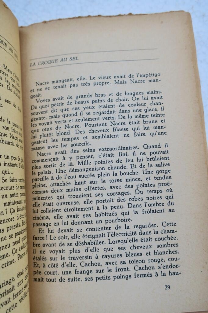 Ein einzigartiges literarisches Werk mit Widmung