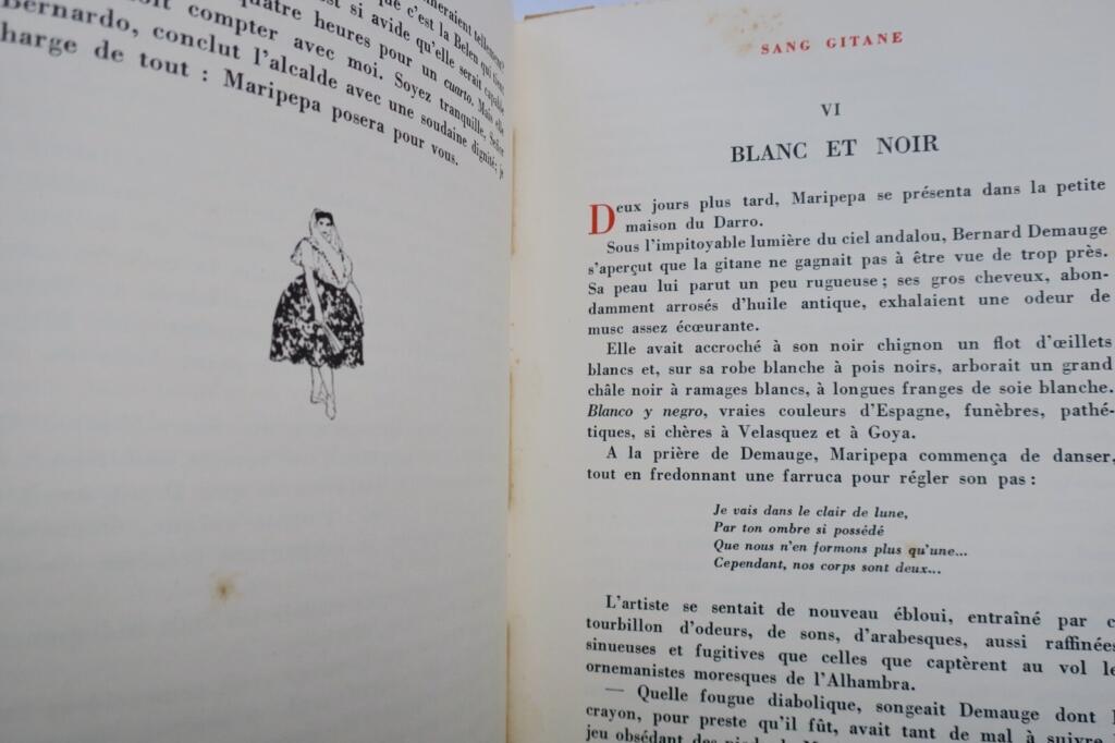 ジプシーの生活に関する小説