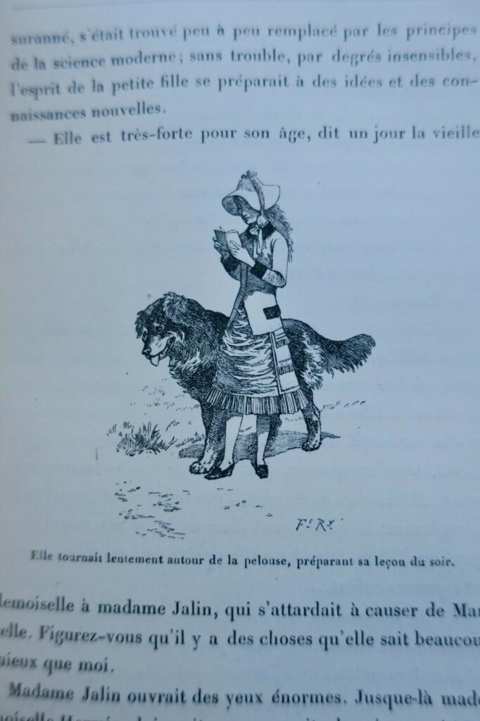 Illustrated novel with engravings