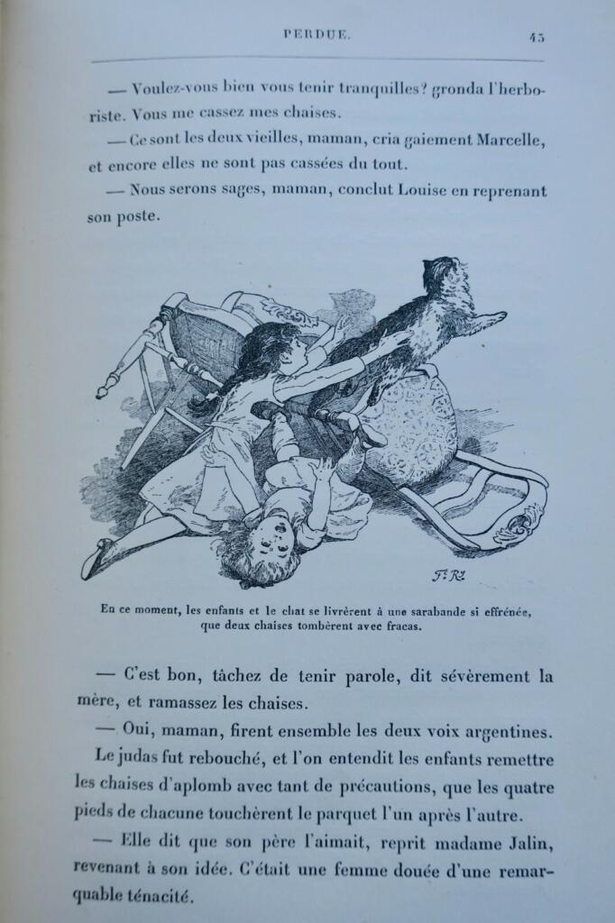 Illustrated novel with engravings