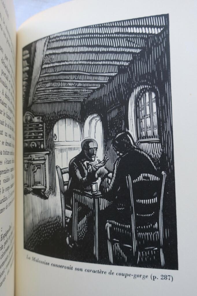 Ein skurriler Ausbruch in Illustrationen