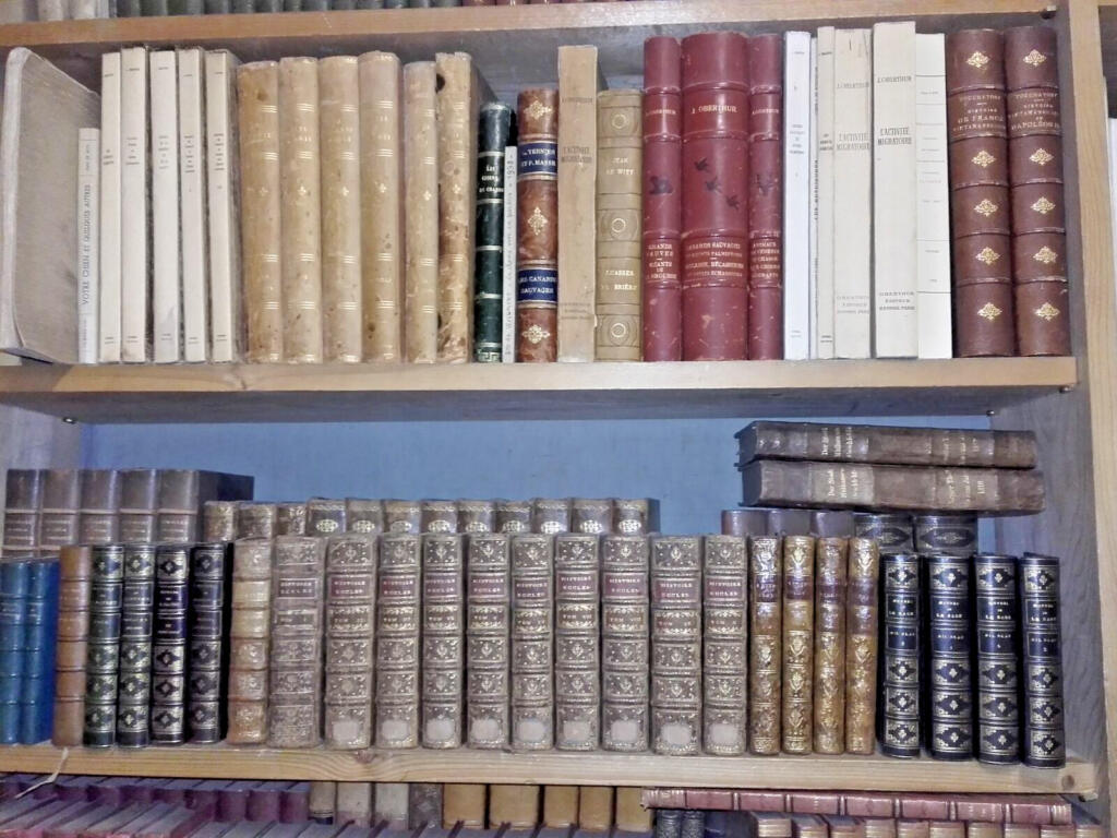 Antique Leather-Bound Books Collection 5M