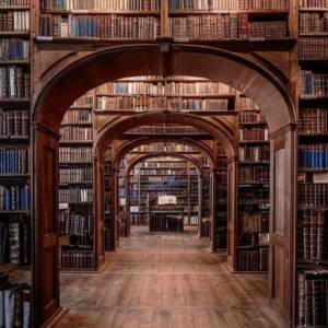 décoration livres anciens CUIR pour décoration intérieur/vitrine/cinema 10 M.