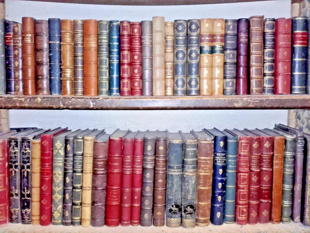 Antique Leather-Bound Books Collection 5M