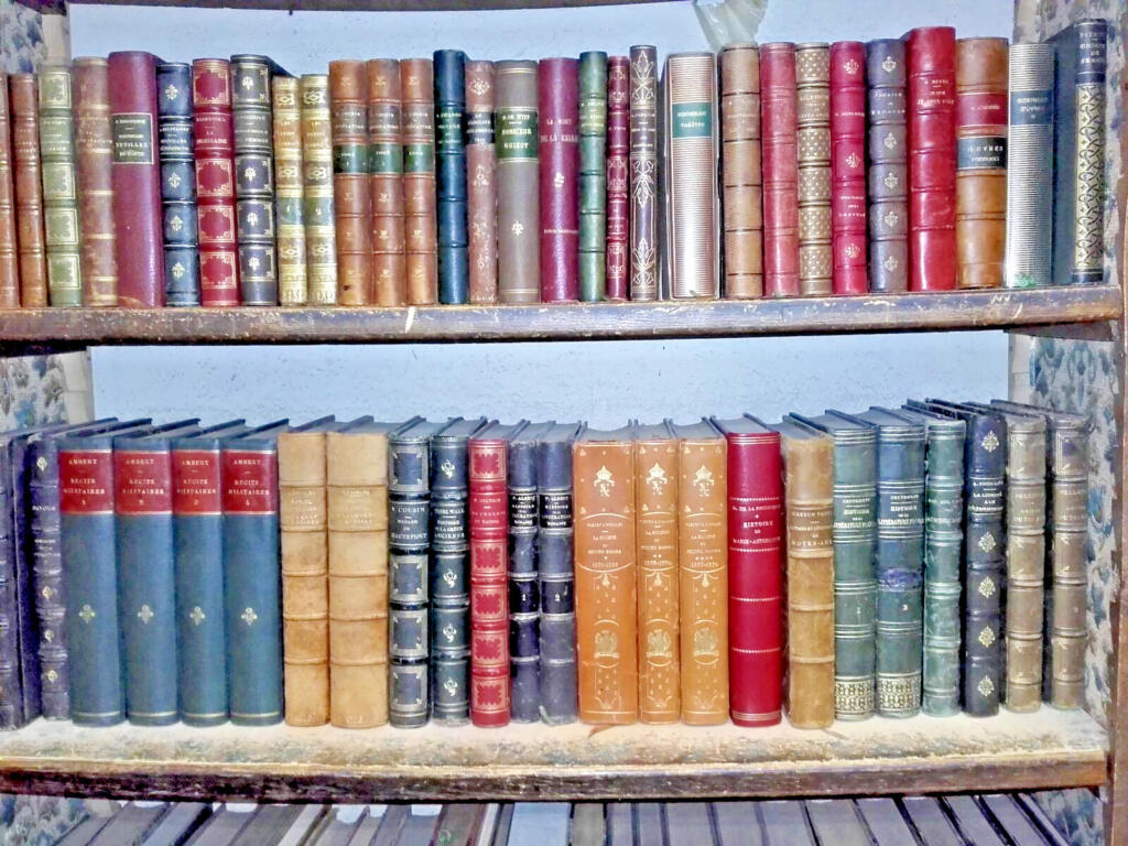 Antique Leather-Bound Books Collection 5M