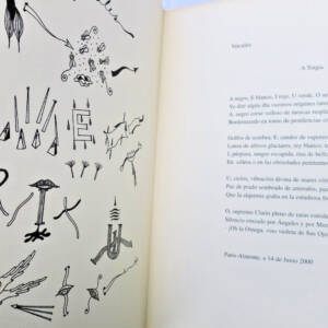 Rimbaud vocales Camacho