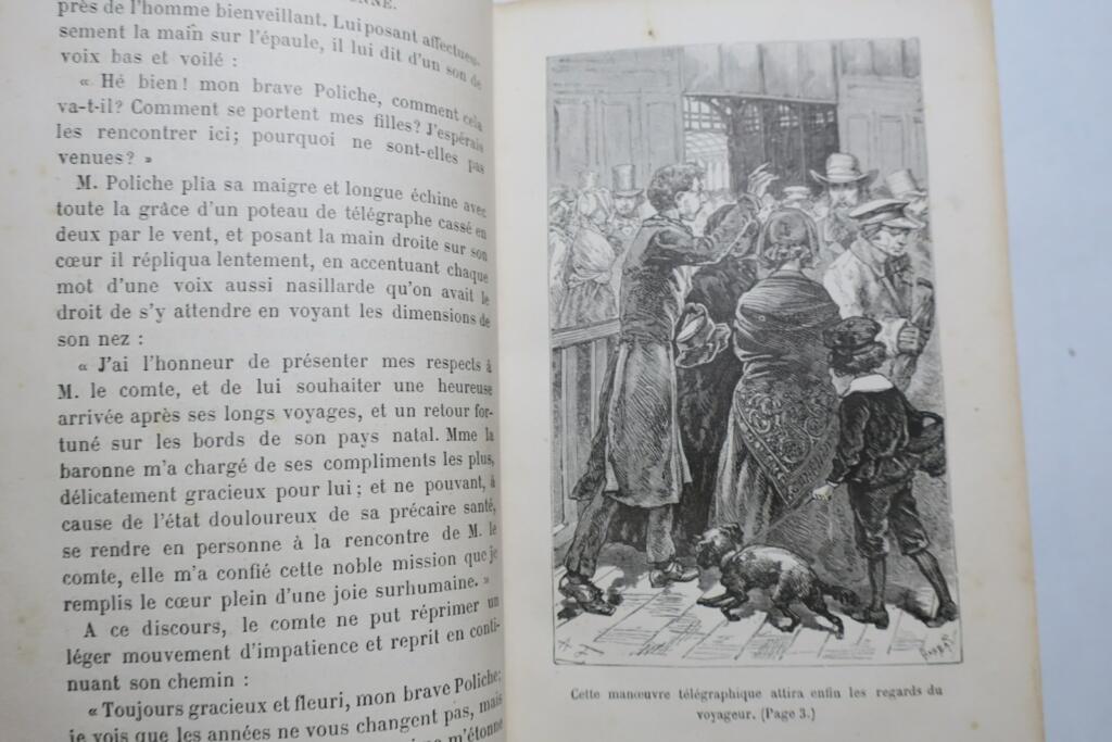 Eine bezaubernde Erzählung mit Illustrationen