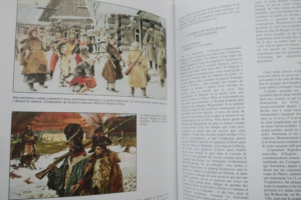 Napoleons Feldzug in Russland