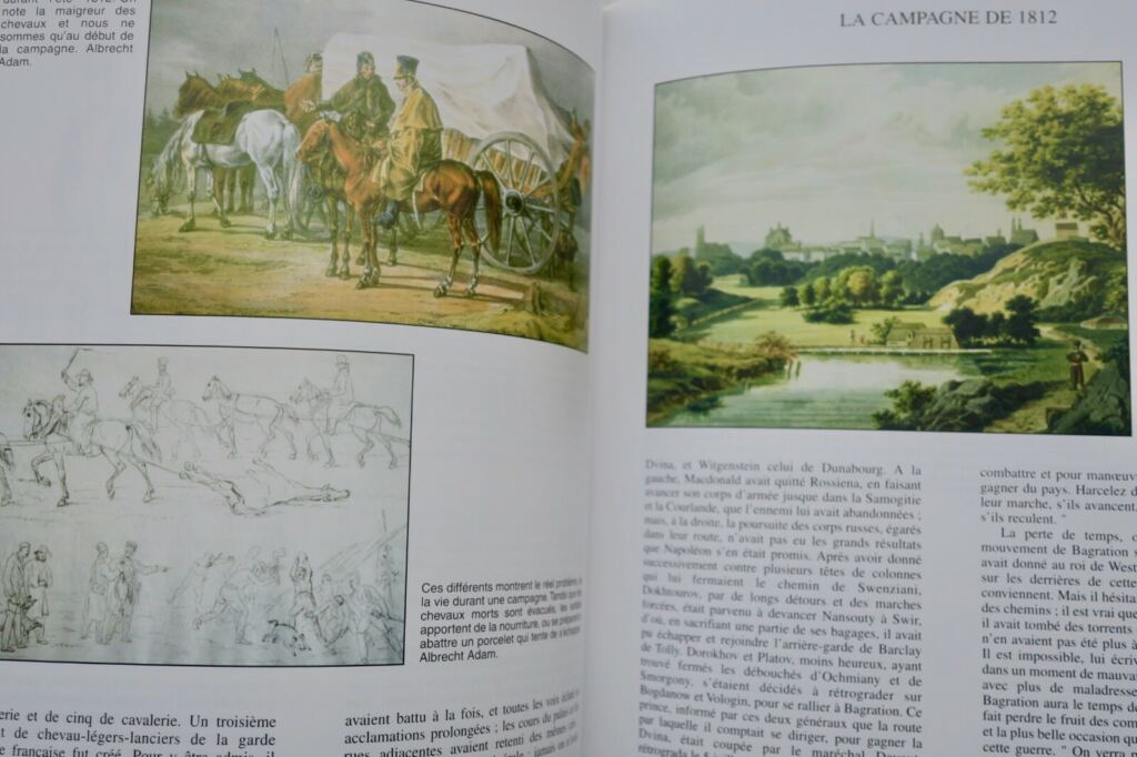 Napoleons Feldzug in Russland