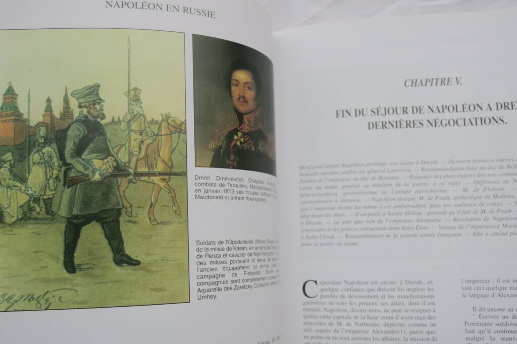 Napoleons Feldzug in Russland