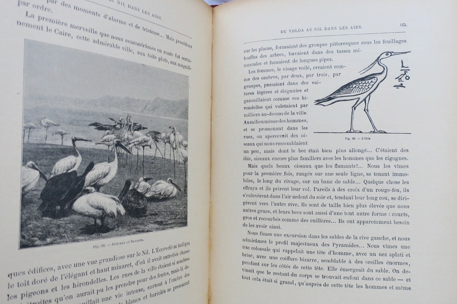 ヴォルガからナイルへ空の旅:コウノトリの思い出 – Image 11