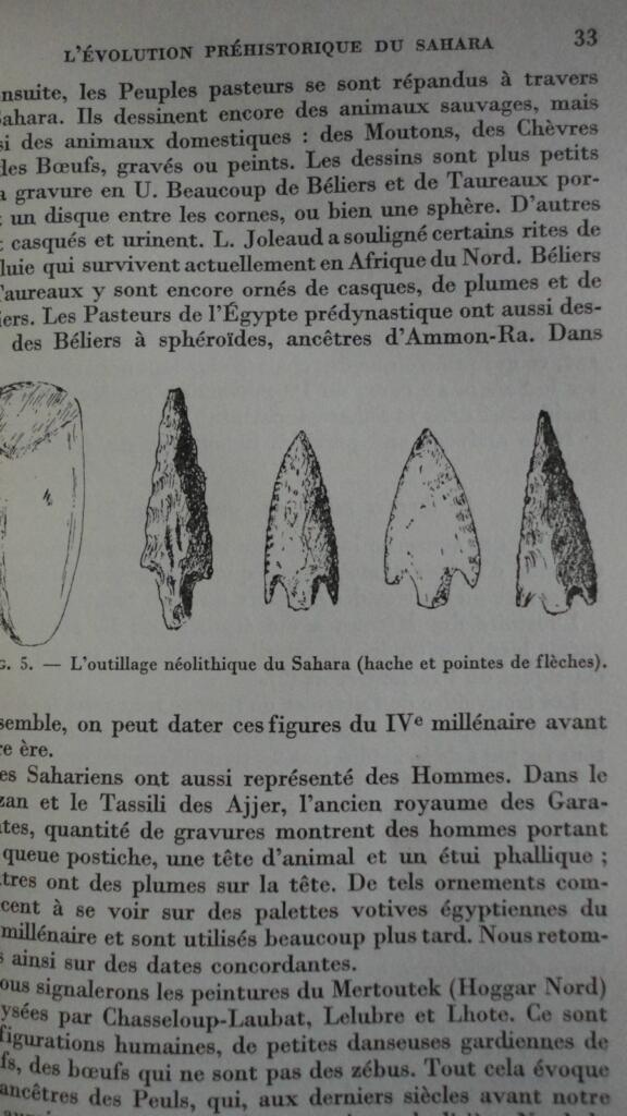 Sahara: Geology and Mineral Resources