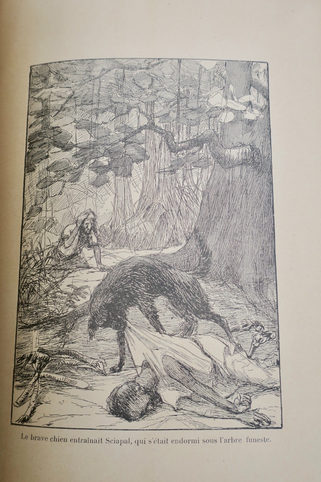 SALGARI LES NAUFRAGES DE LA DJUMNA – Image 3