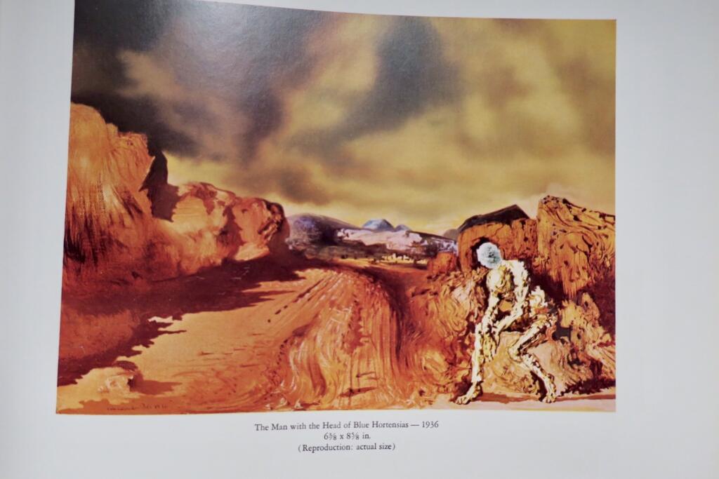 Salvador Dalí catalog of a collection; ninety-three oils, 1917-1970