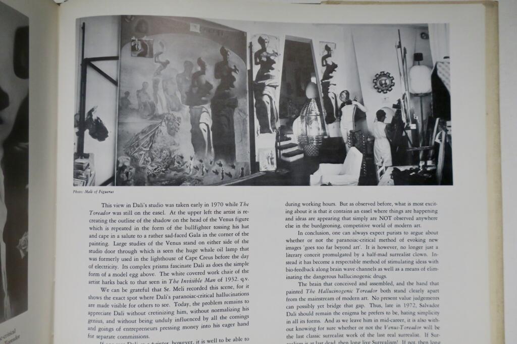 Salvador Dalí catalog of a collection; ninety-three oils, 1917-1970